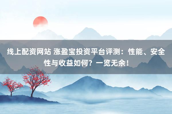 线上配资网站 涨盈宝投资平台评测：性能、安全性与收益如何？一览无余！