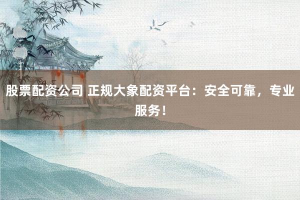 股票配资公司 正规大象配资平台：安全可靠，专业服务！