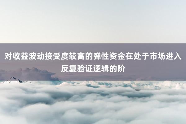 对收益波动接受度较高的弹性资金在处于市场进入反复验证逻辑的阶