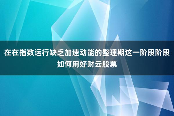 在在指数运行缺乏加速动能的整理期这一阶段阶段如何用好财云股票