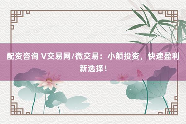 配资咨询 V交易网/微交易：小额投资，快速盈利新选择！