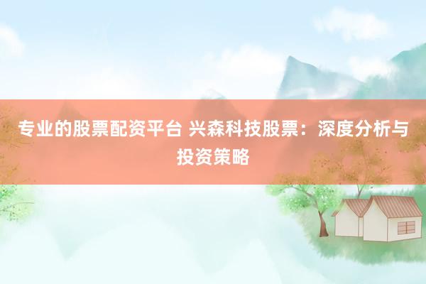 专业的股票配资平台 兴森科技股票：深度分析与投资策略