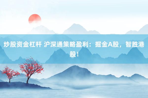炒股资金杠杆 沪深通策略盈利：掘金A股，智胜港股！