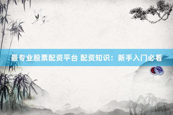 最专业股票配资平台 配资知识：新手入门必看