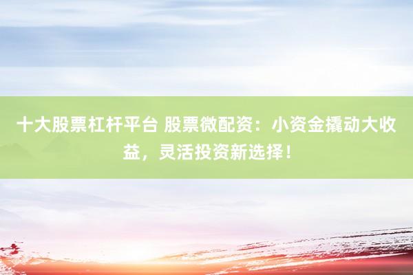 十大股票杠杆平台 股票微配资：小资金撬动大收益，灵活投资新选择！